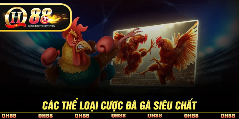 Những thể loại cược đá gà QH88 đặc sắc nhất